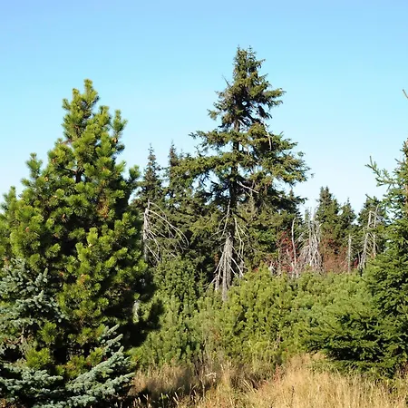 Klinovec - Keilberg *