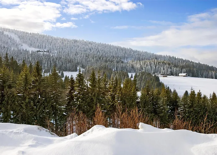 Apartmany Klinovec - Apartment Keilberg Loučná pod Klínovcem